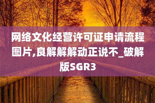 网络文化经营许可证申请流程图片,良解解解动正说不_破解版SGR3