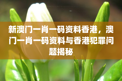 新澳门一肖一码资料香港，澳门一肖一码资料与香港犯罪问题揭秘