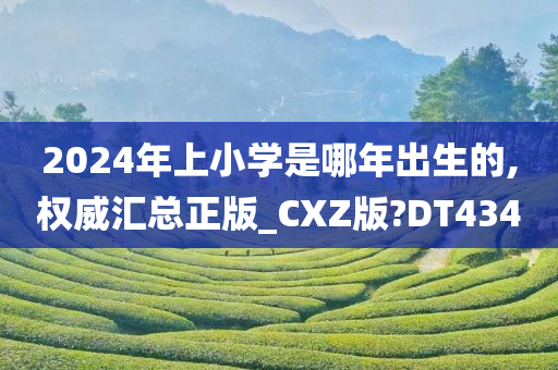 2024年上小学是哪年出生的,权威汇总正版_CXZ版?DT434