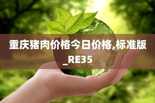 重庆猪肉价格今日价格,标准版_RE35