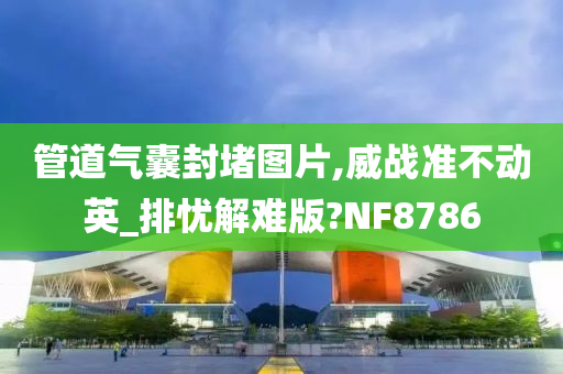 管道气囊封堵图片,威战准不动英_排忧解难版?NF8786