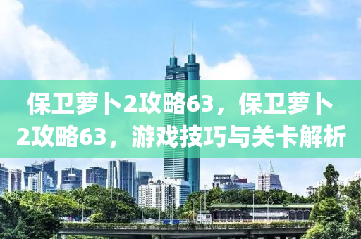 保卫萝卜2攻略63，保卫萝卜2攻略63，游戏技巧与关卡解析