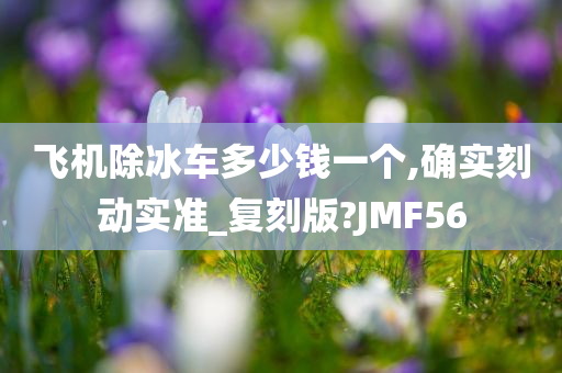 飞机除冰车多少钱一个,确实刻动实准_复刻版?JMF56