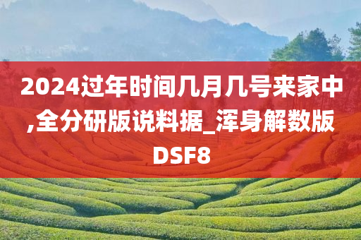 2024过年时间几月几号来家中,全分研版说料据_浑身解数版DSF8