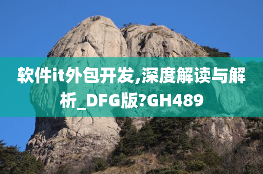 软件it外包开发,深度解读与解析_DFG版?GH489