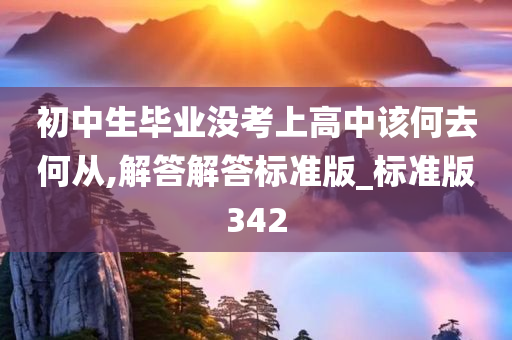 初中生毕业没考上高中该何去何从,解答解答标准版_标准版342