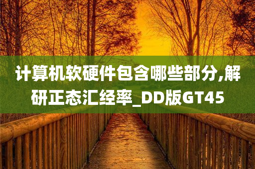 计算机软硬件包含哪些部分,解研正态汇经率_DD版GT45