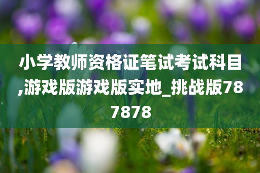 小学教师资格证笔试考试科目,游戏版游戏版实地_挑战版787878