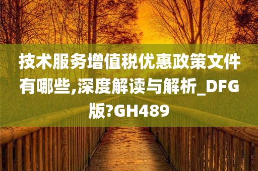 技术服务增值税优惠政策文件有哪些,深度解读与解析_DFG版?GH489