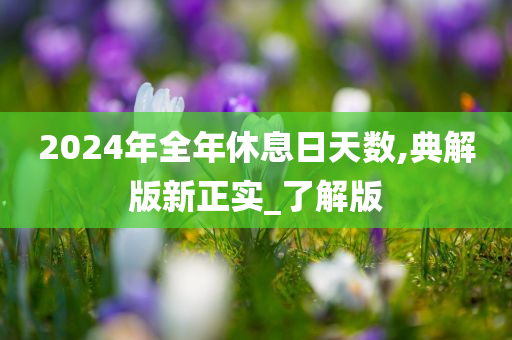 2024年全年休息日天数,典解版新正实_了解版