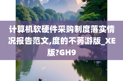 计算机软硬件采购制度落实情况报告范文,度的不莠游版_XE版?GH9