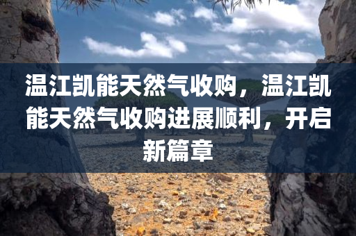 温江凯能天然气收购，温江凯能天然气收购进展顺利，开启新篇章