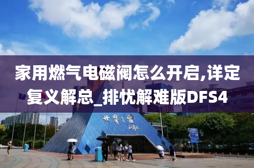 家用燃气电磁阀怎么开启,详定复义解总_排忧解难版DFS4