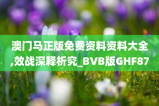 澳门马正版免费资料资料大全,效战深释析究_BVB版GHF87