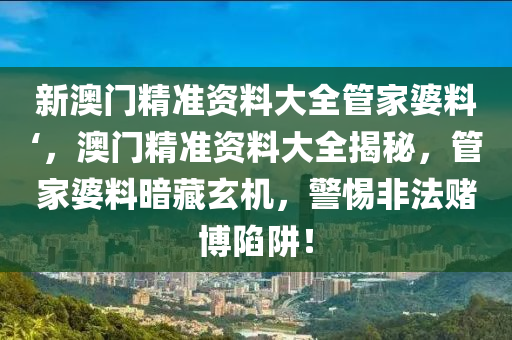 新澳门精准资料大全管家婆料‘，澳门精准资料大全揭秘，管家婆料暗藏玄机，警惕非法赌博陷阱！