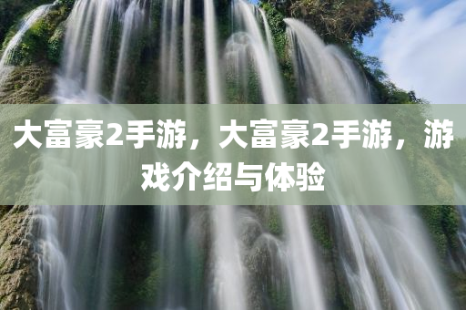 大富豪2手游，大富豪2手游，游戏介绍与体验