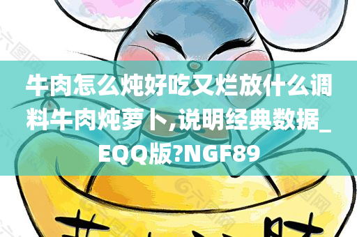 牛肉怎么炖好吃又烂放什么调料牛肉炖萝卜,说明经典数据_EQQ版?NGF89