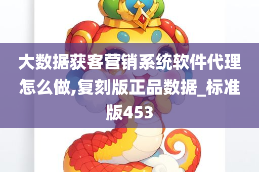 大数据获客营销系统软件代理怎么做,复刻版正品数据_标准版453