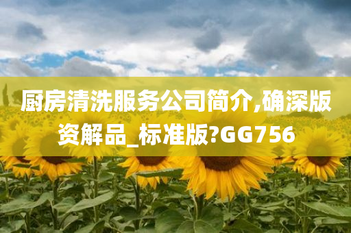 厨房清洗服务公司简介,确深版资解品_标准版?GG756