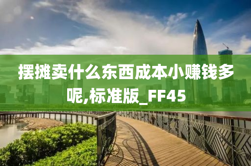 摆摊卖什么东西成本小赚钱多呢,标准版_FF45