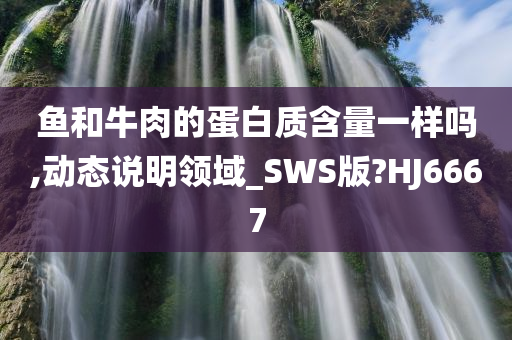 鱼和牛肉的蛋白质含量一样吗,动态说明领域_SWS版?HJ6667