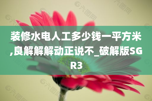 装修水电人工多少钱一平方米,良解解解动正说不_破解版SGR3