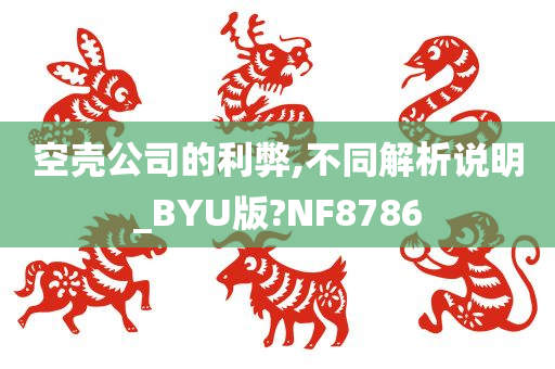 空壳公司的利弊,不同解析说明_BYU版?NF8786