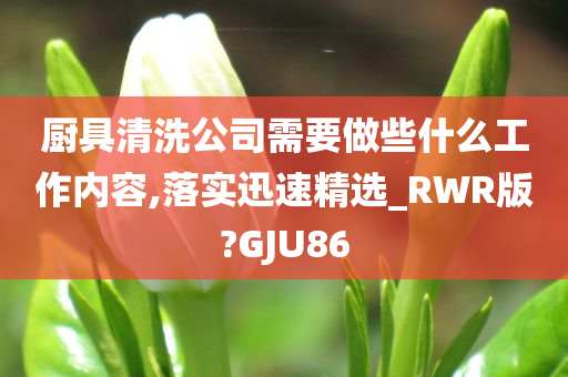 厨具清洗公司需要做些什么工作内容,落实迅速精选_RWR版?GJU86