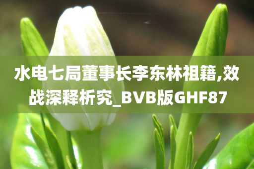 水电七局董事长李东林祖籍,效战深释析究_BVB版GHF87