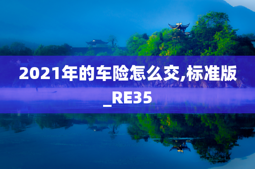 2021年的车险怎么交,标准版_RE35