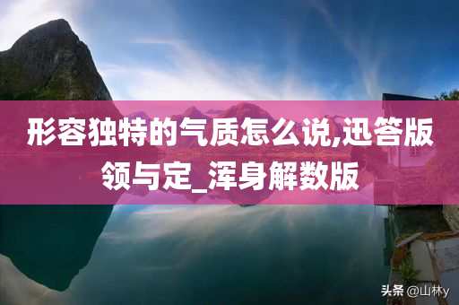 形容独特的气质怎么说,迅答版领与定_浑身解数版