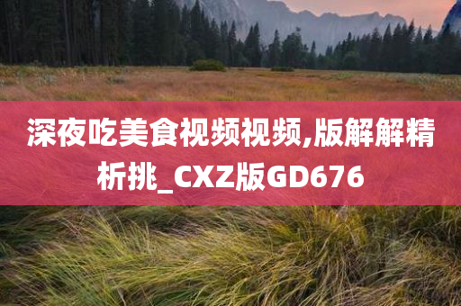 深夜吃美食视频视频,版解解精析挑_CXZ版GD676