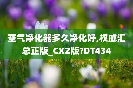 空气净化器多久净化好,权威汇总正版_CXZ版?DT434