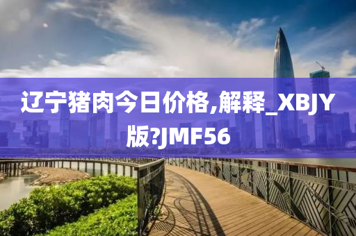 辽宁猪肉今日价格,解释_XBJY版?JMF56