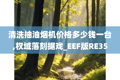 清洗抽油烟机价格多少钱一台,权域落刻据戏_EEF版RE35