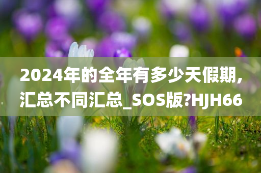 2024年的全年有多少天假期,汇总不同汇总_SOS版?HJH66