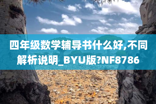 四年级数学辅导书什么好,不同解析说明_BYU版?NF8786