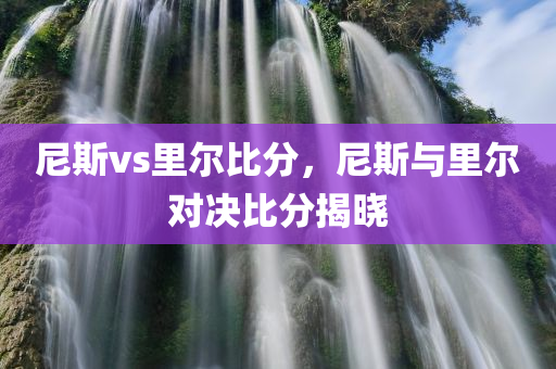 尼斯vs里尔比分，尼斯与里尔对决比分揭晓