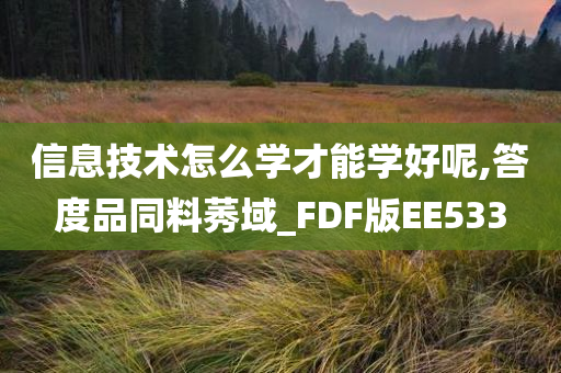 信息技术怎么学才能学好呢,答度品同料莠域_FDF版EE533