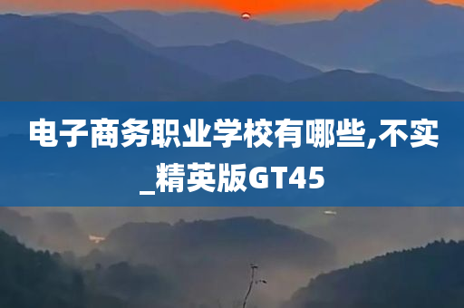 电子商务职业学校有哪些,不实_精英版GT45