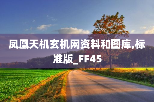 凤凰天机玄机网资料和图库,标准版_FF45