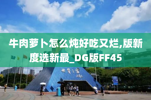 牛肉萝卜怎么炖好吃又烂,版新度选新最_DG版FF45