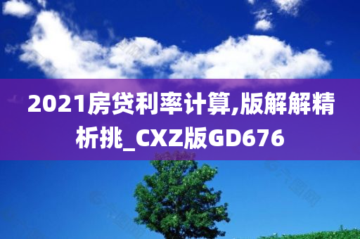 2021房贷利率计算,版解解精析挑_CXZ版GD676