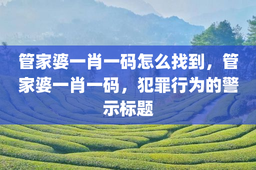 管家婆一肖一码怎么找到，管家婆一肖一码，犯罪行为的警示标题