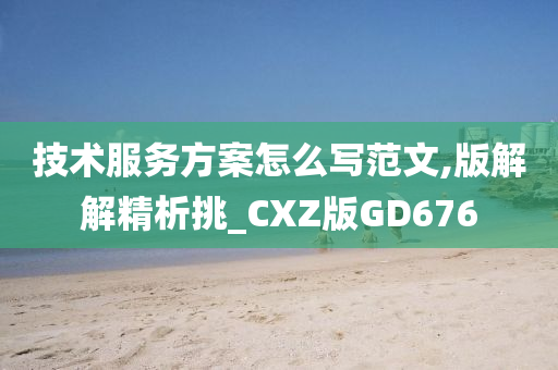 技术服务方案怎么写范文,版解解精析挑_CXZ版GD676