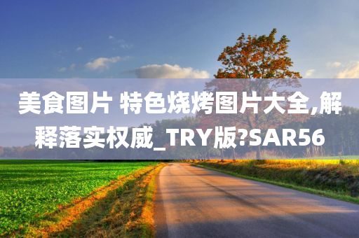 美食图片 特色烧烤图片大全,解释落实权威_TRY版?SAR56