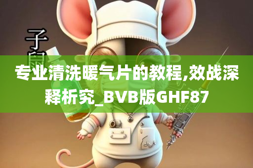 专业清洗暖气片的教程,效战深释析究_BVB版GHF87