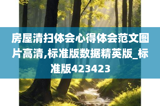 房屋清扫体会心得体会范文图片高清,标准版数据精英版_标准版423423