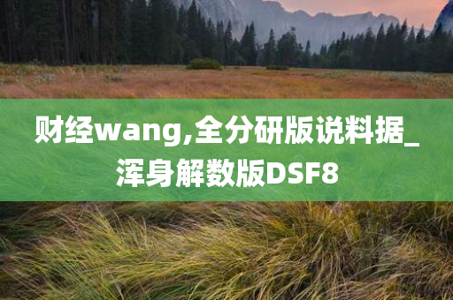 财经wang,全分研版说料据_浑身解数版DSF8