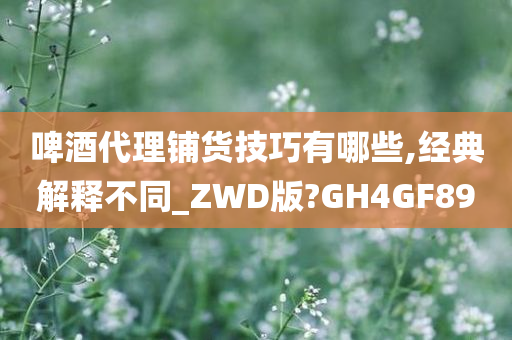 啤酒代理铺货技巧有哪些,经典解释不同_ZWD版?GH4GF89